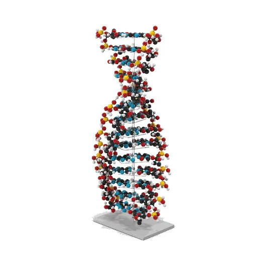[62-UR-101] Monkey Skin Total RNA   