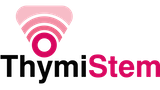 Thymi Stem